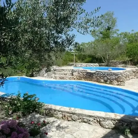 With Swimming Pool Zrnovo, Korcula - 21436