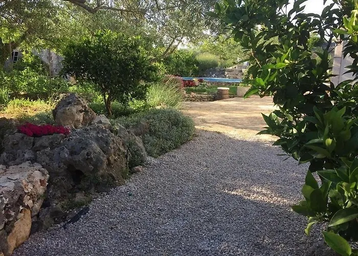 With Swimming Pool Zrnovo, Korcula - 21436 * Zrnovo